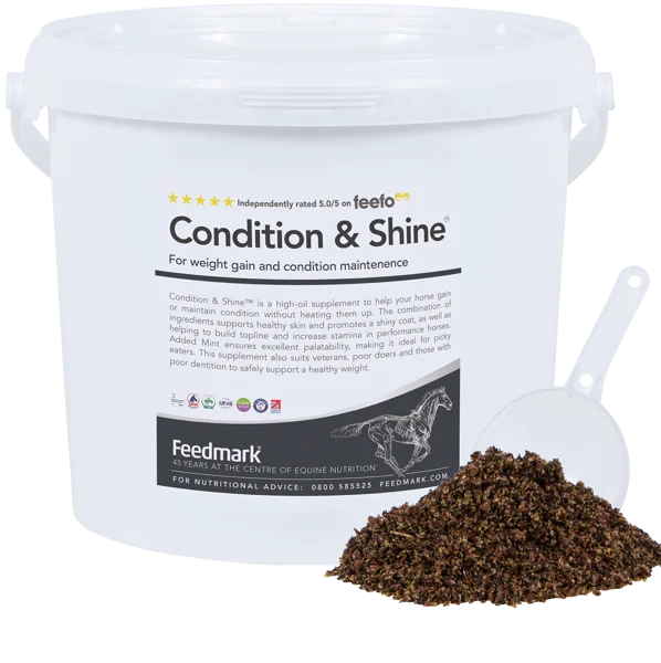 Condition & Shine (4.5 kg)