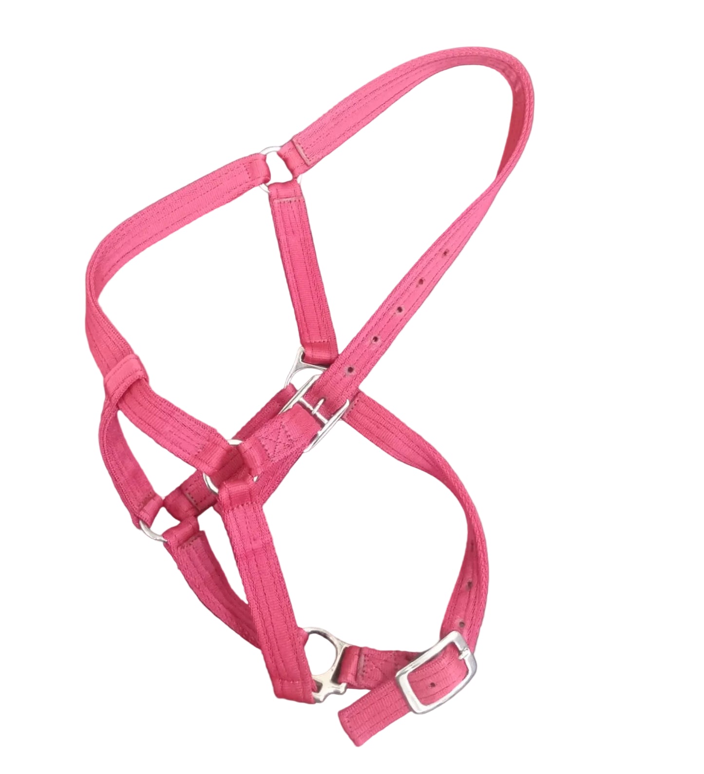 Head Collar (R/M)