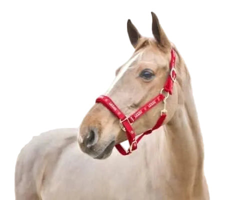 Horze Hamptons Halter (Red)