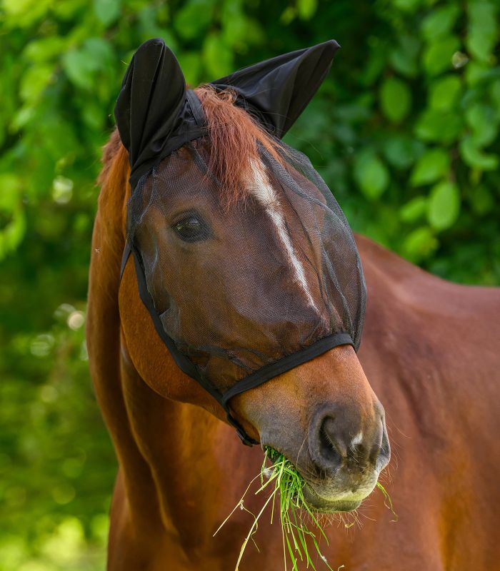 Basic fly mask, with ear protection
