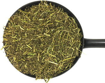 Alfalfa Chaps - شينز البرسيم