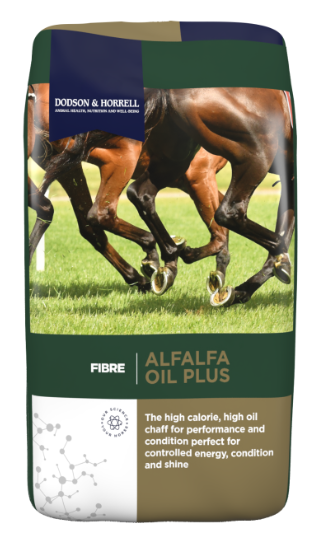 Alfalfa Oil Plus - زيت البرسيم بلس