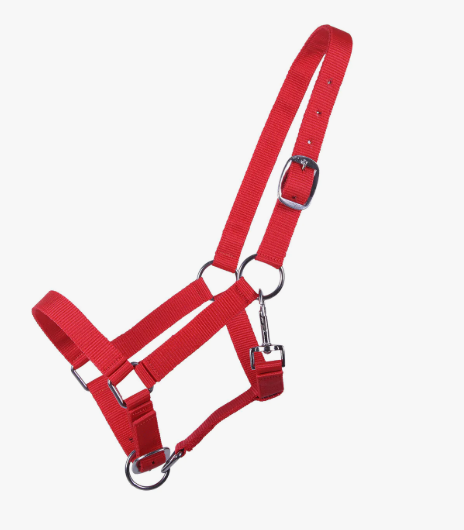 Head collar Yearling