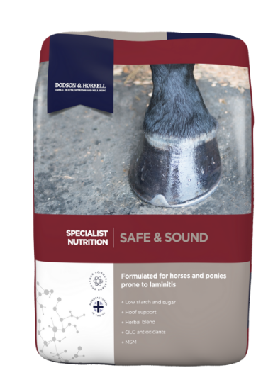 Safe and Sound - آمن وسليم