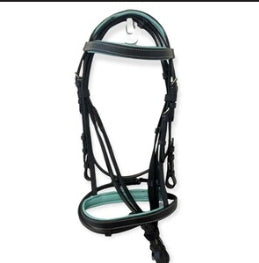 Status PVC Briddle
