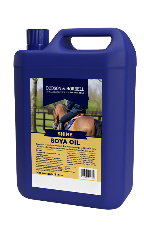 Soya Oil (5 ltr / 20 ltr)