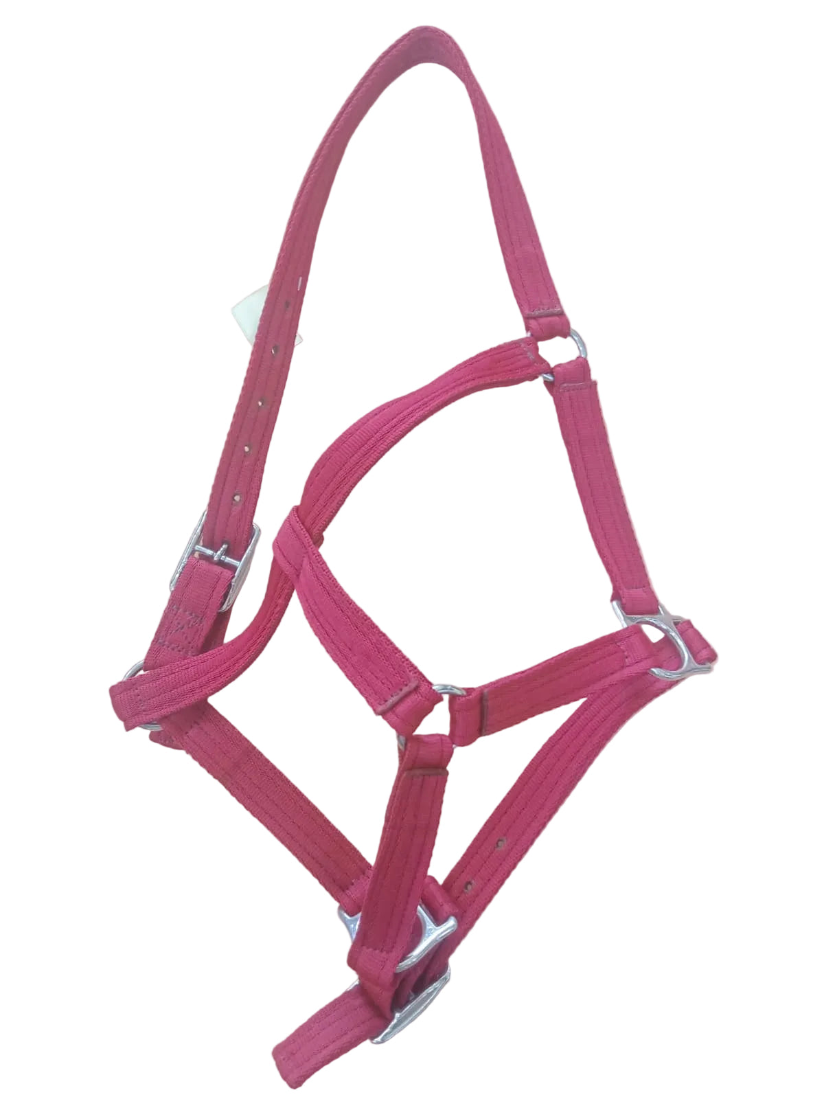 Head Collar (R/M)