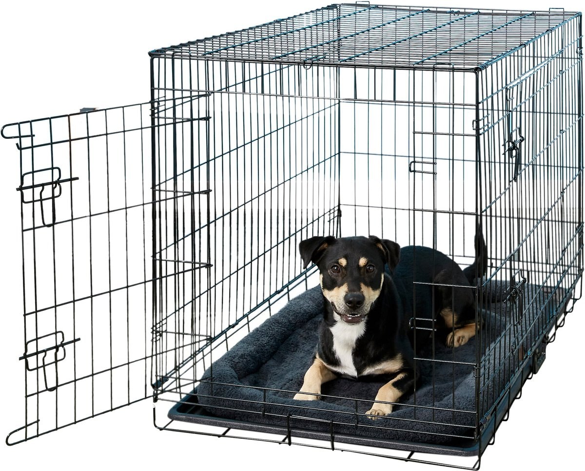 Metal Dog Cage