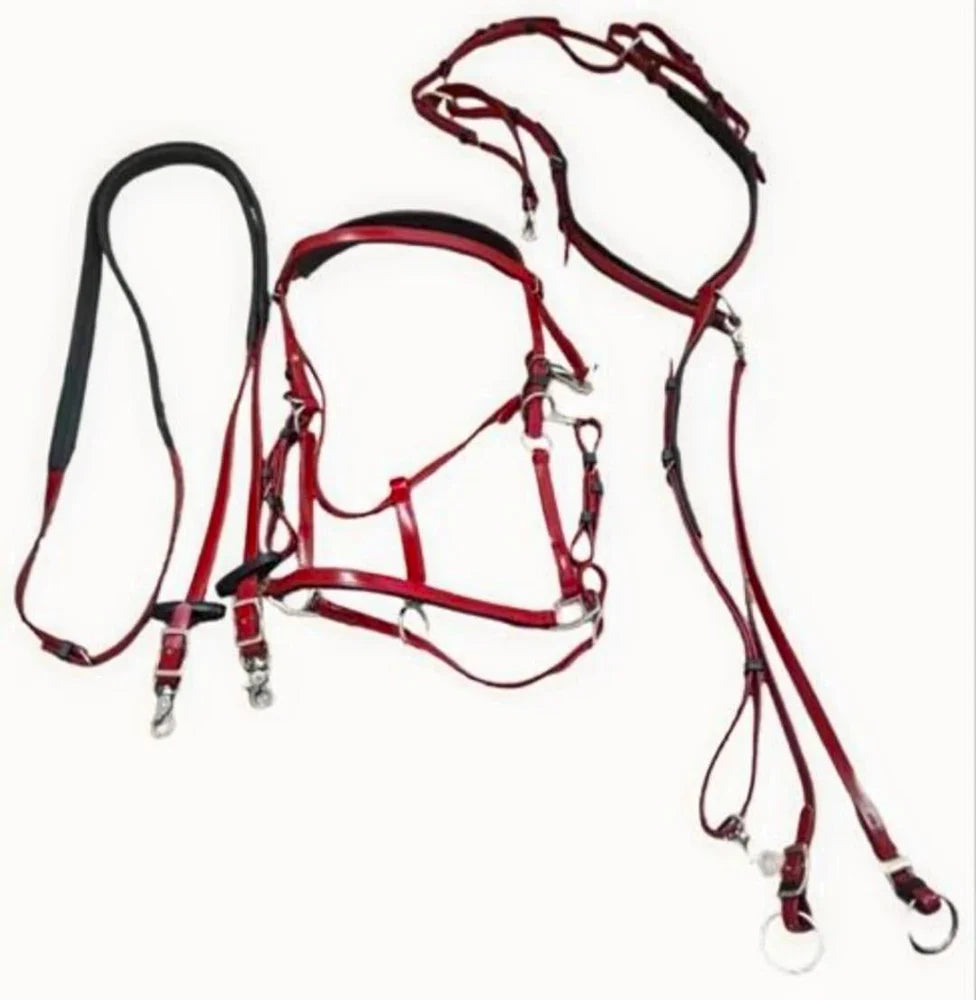 PVC Endurance Bridle Set W/Martingle