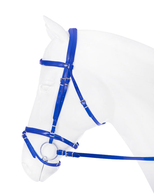 Race Briddle Set with Rein & Cavasson (Royal Blue)