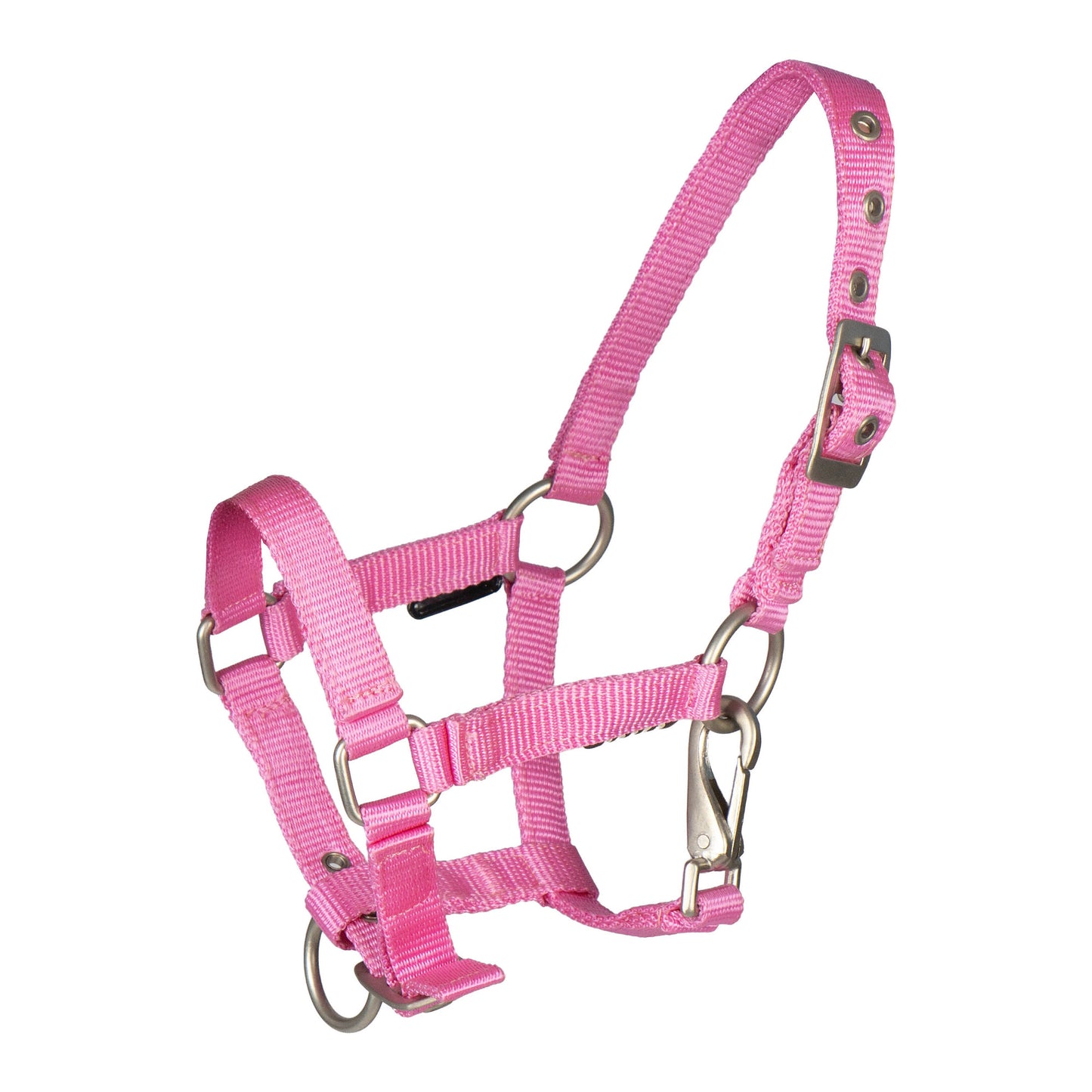 FOAL HALTER WITH CLIP