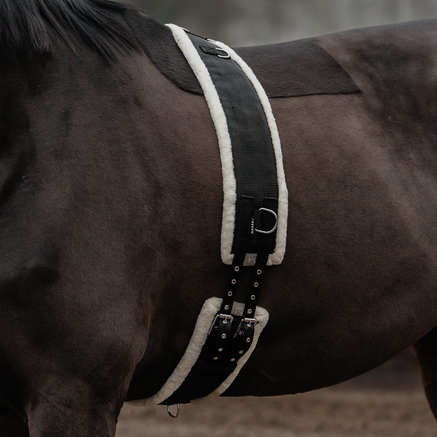 LUNGING GIRTH NYLON