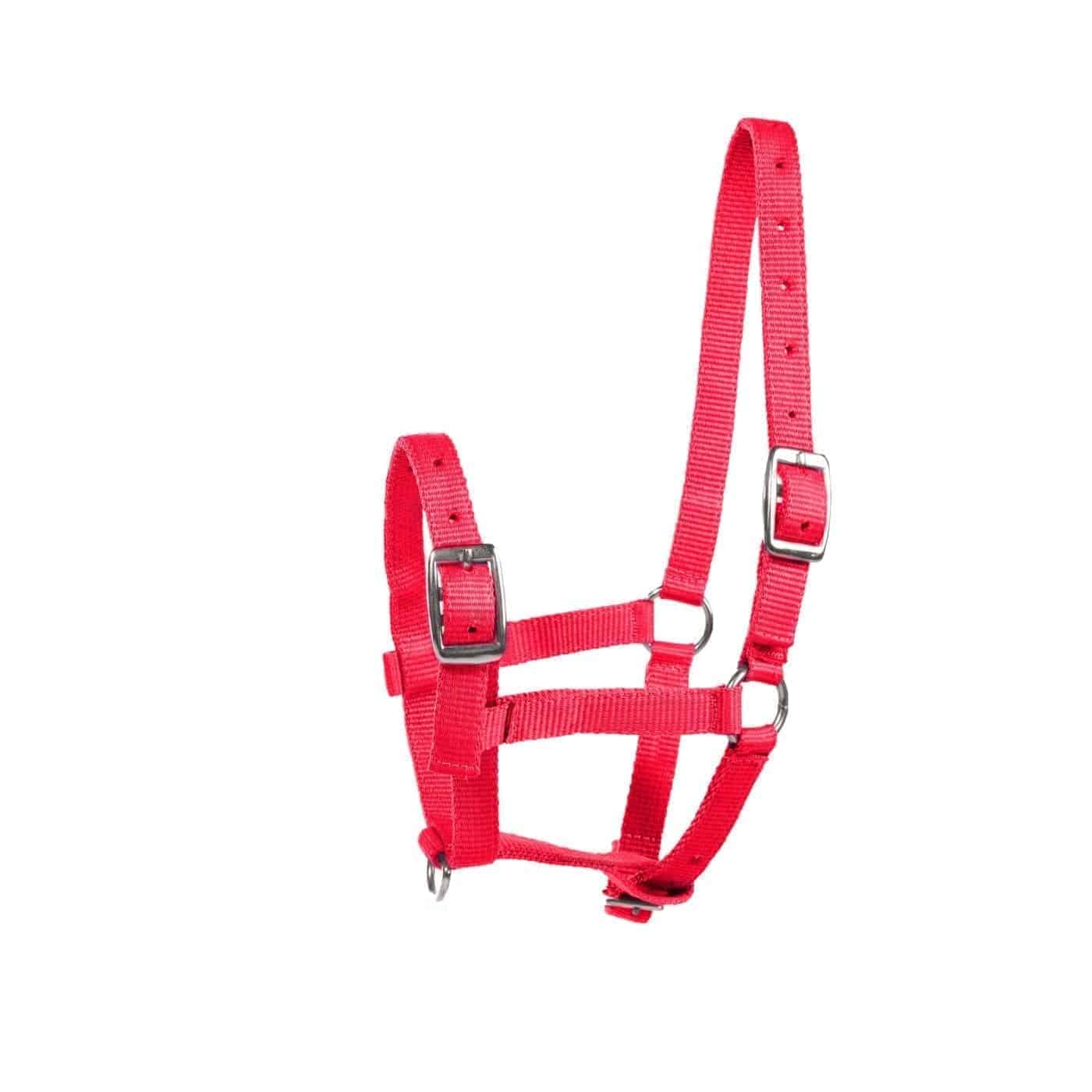 Horze Foal Halter