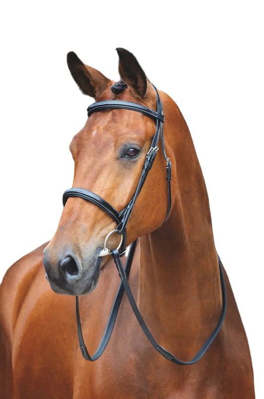 Salisbury Fairford Bridle