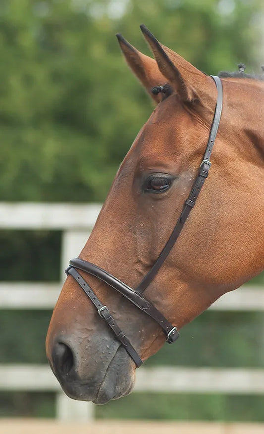 Velociti GARA Flash Noseband