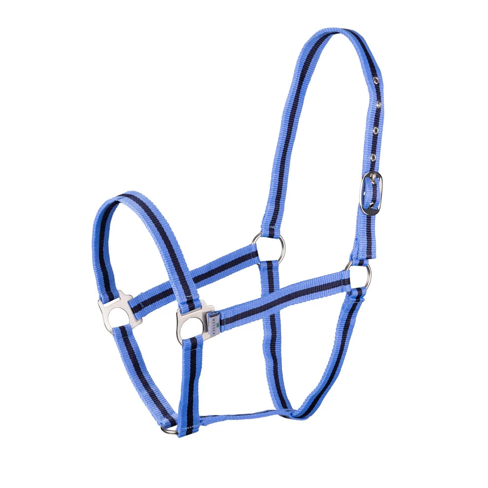 ARMA Foal Headcollar (Mix Colour)