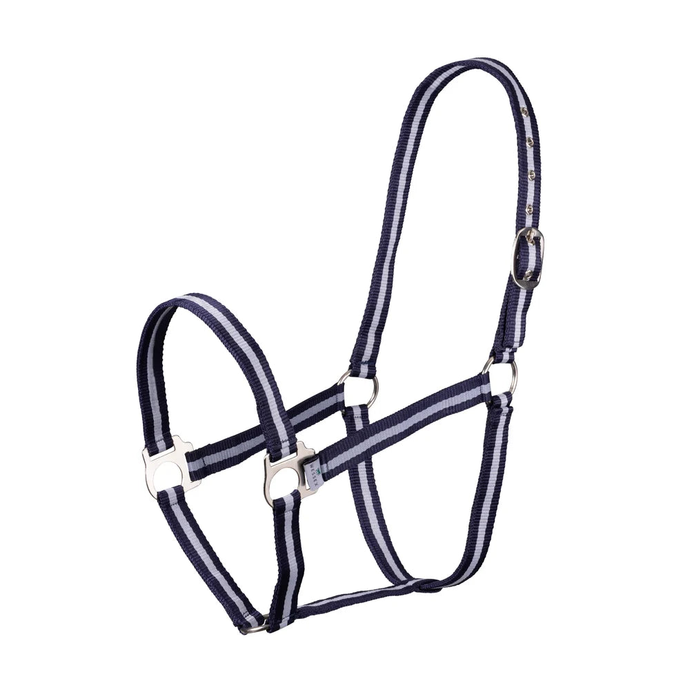 ARMA Foal Headcollar (Mix Colour)