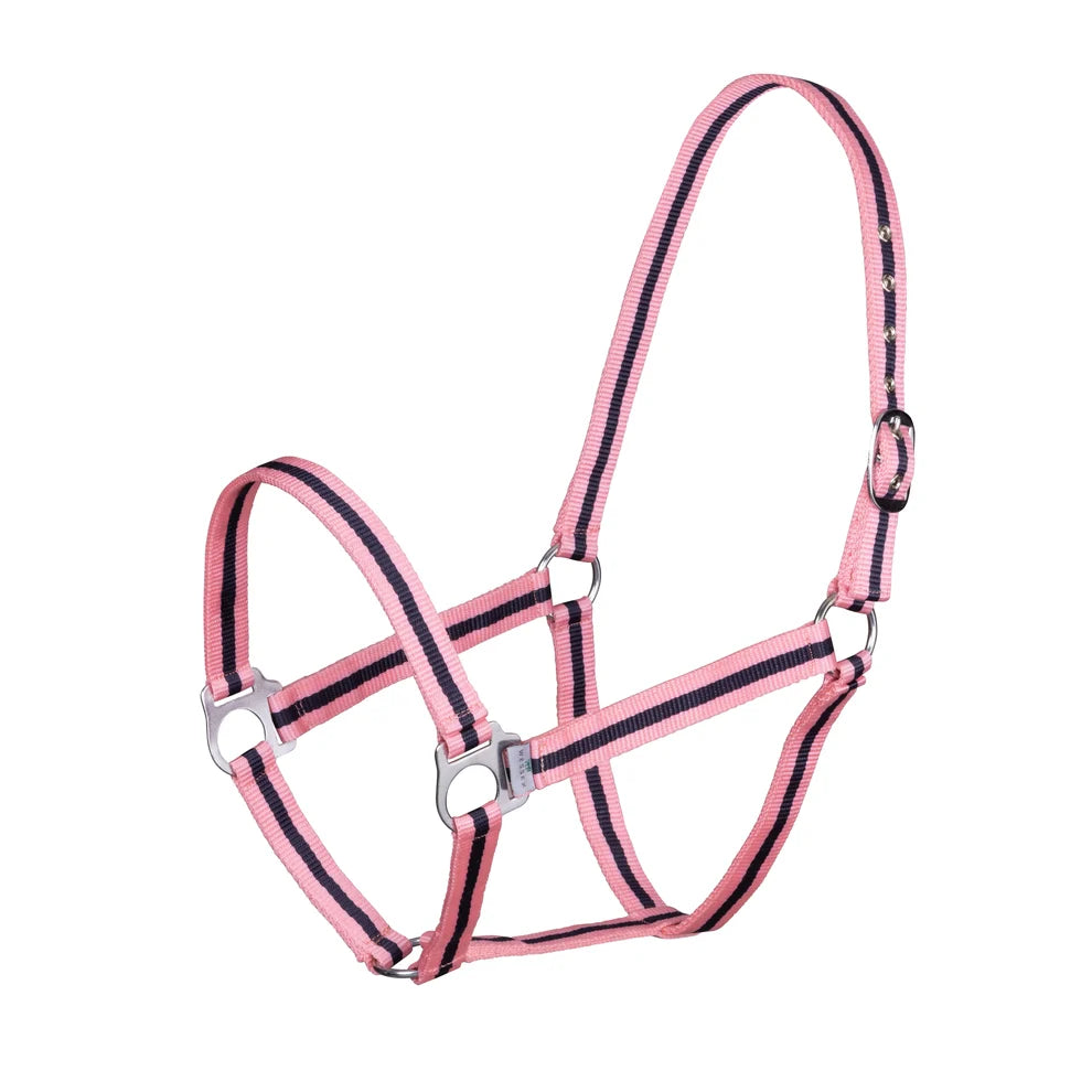ARMA Foal Headcollar (Mix Colour)