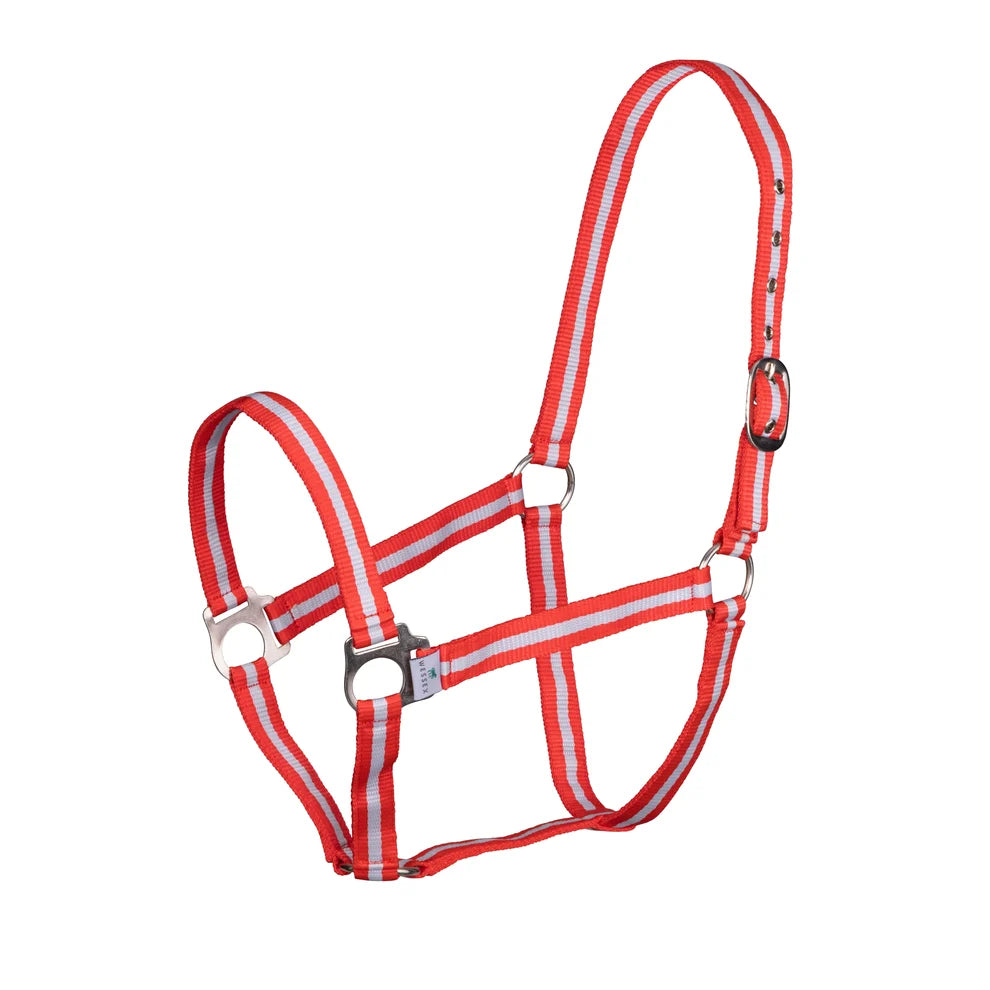 ARMA Foal Headcollar (Mix Colour)