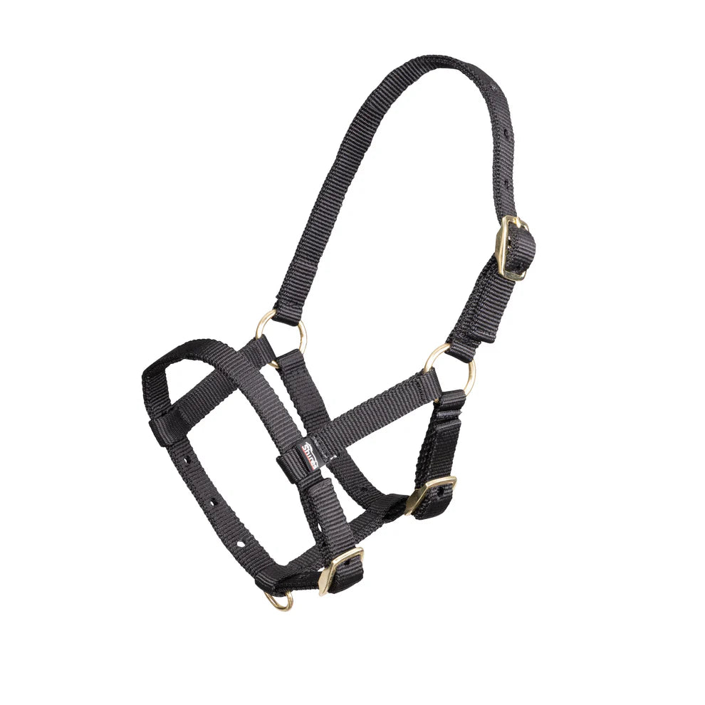 ARMA Foal Headcollar (Mix Colour)