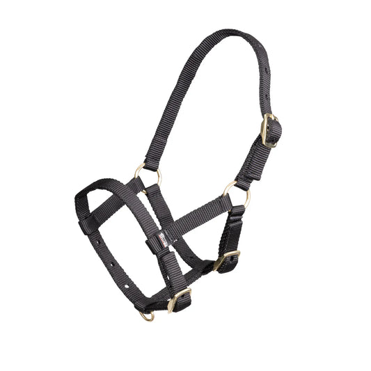 ARMA Foal Headcollar (Mix Colour)