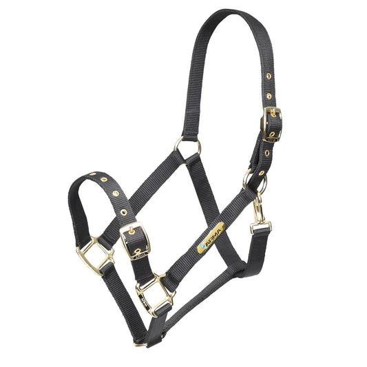 ARMA Adjustable Headcollar Black (C)