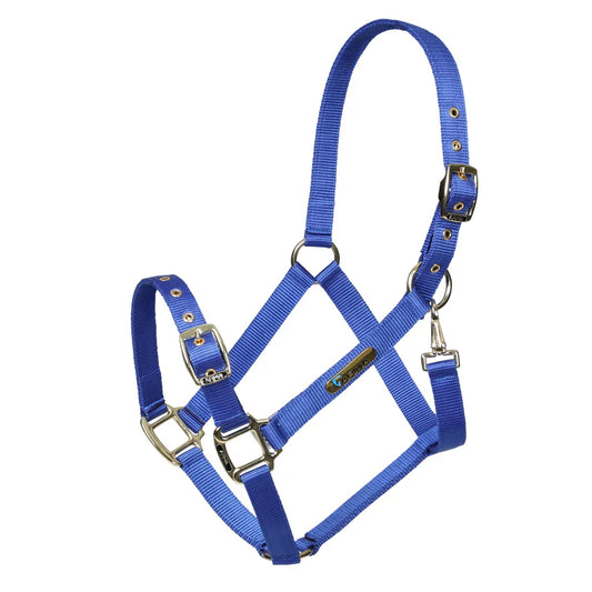 ARMA Adjustable Headcollar Blue (F)
