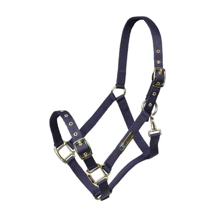 ARMA Adjustable Headcollar (Navy) C