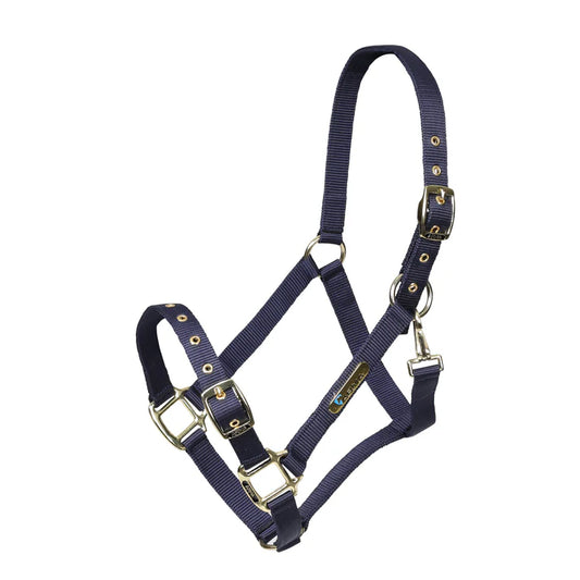 ARMA Adjustable Headcollar (Navy) C