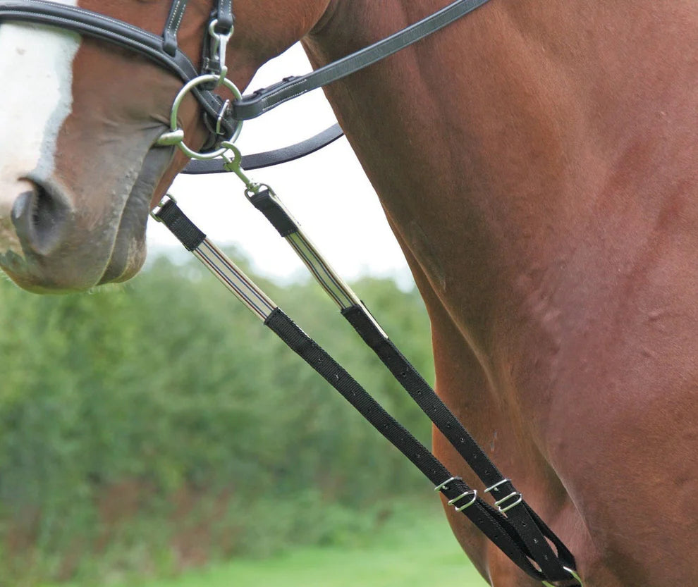 The Original Harbridge Training Aid