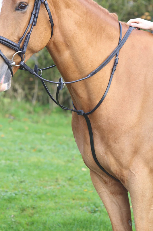 Running Martingale (4192)
