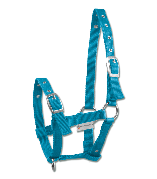 Halter Triple for Foals (Blue)