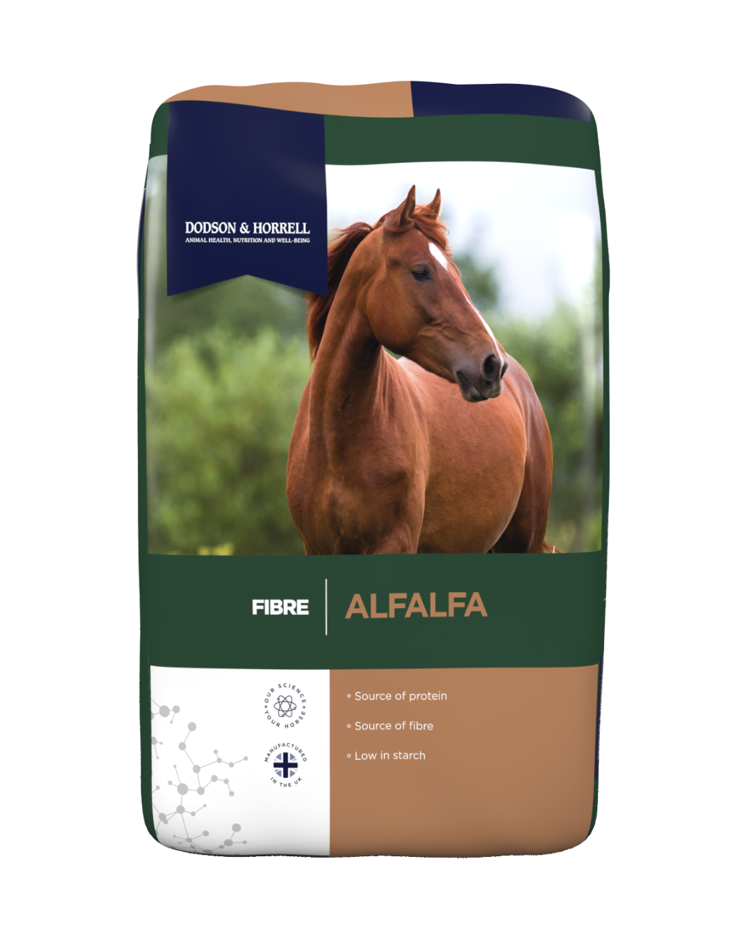 Alfalfa Chaps - شينز البرسيم