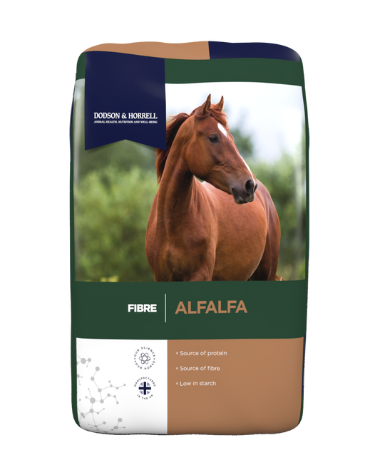 Alfalfa Chaps - شينز البرسيم