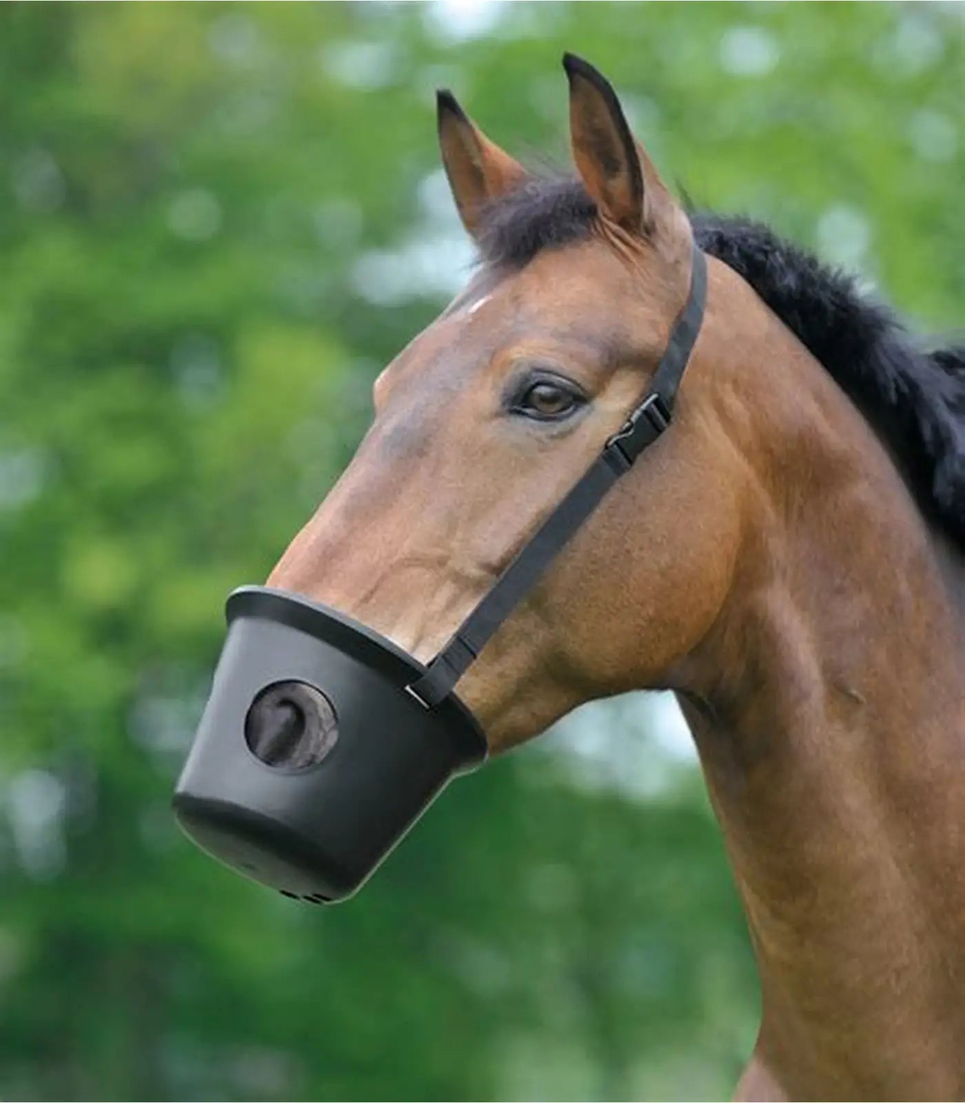 Plastic Muzzle (BH-402)