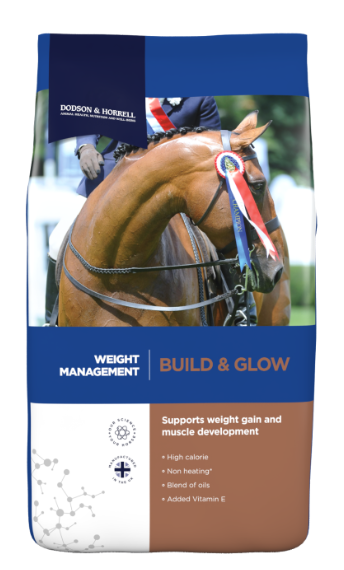 Build & Glow - ابنِ وتألق