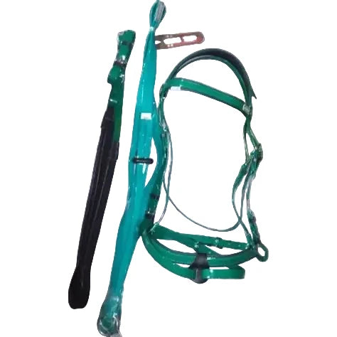 PVC Snaffle Bridle Set W/ Martingle