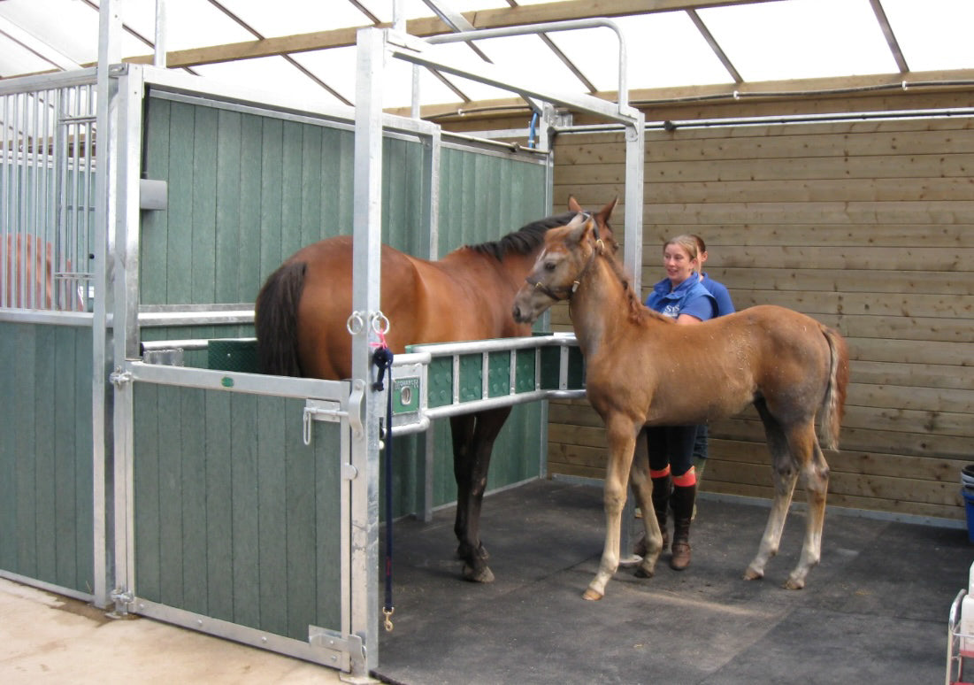 Monarch Horse Stocks