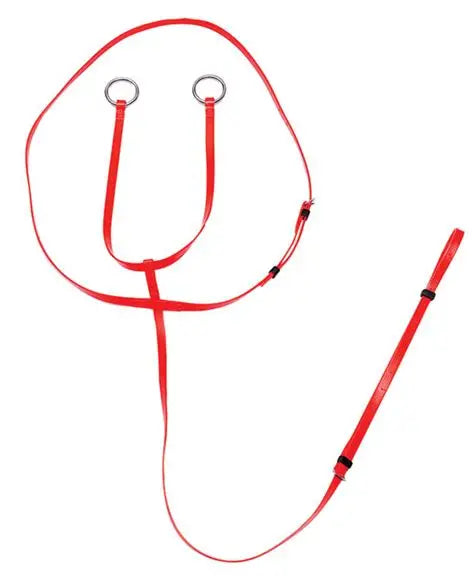 13mm Running Martingale (Red)