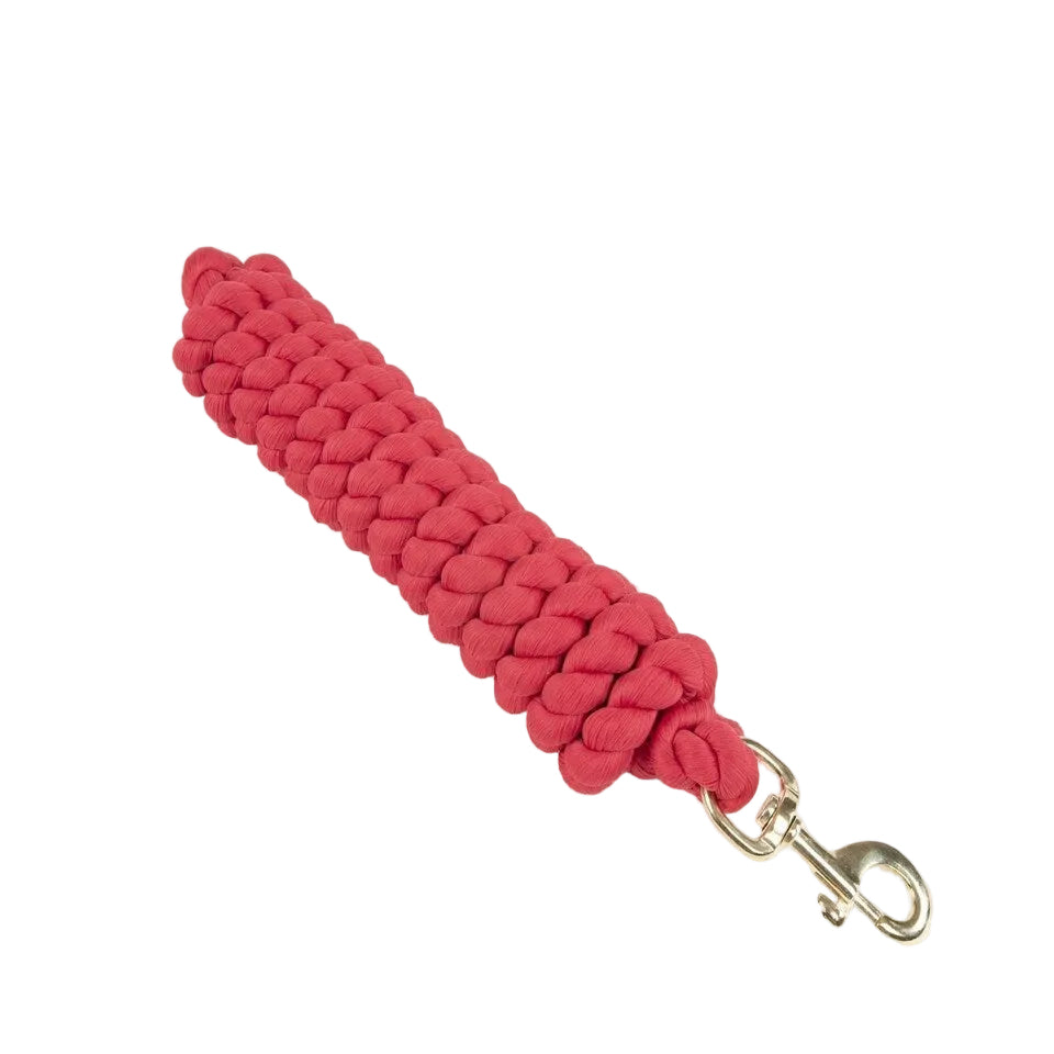 ARMA Extra Long Lead Rope (Mix Colour) 440