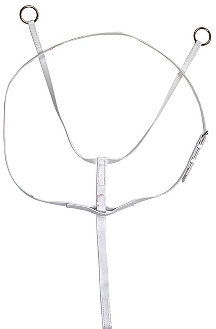 Horse Sense Race Exercise Martingale