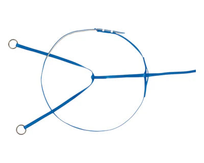 Horse Sense Race Exercise Martingale