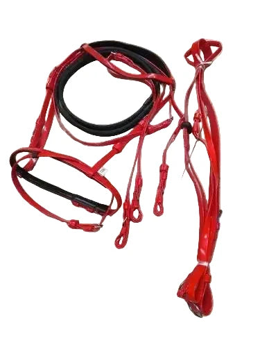 PVC Snaffle Bridle Set W/ Martingle