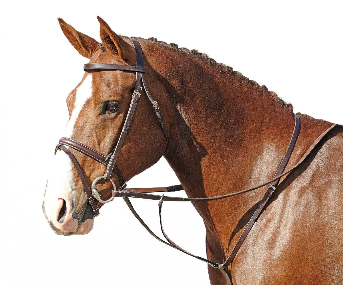 Running Martinhgle  (Cob)