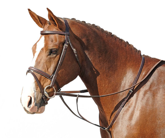 Running Martinhgle  (Cob)