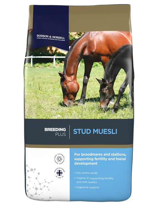 Stud Muesli