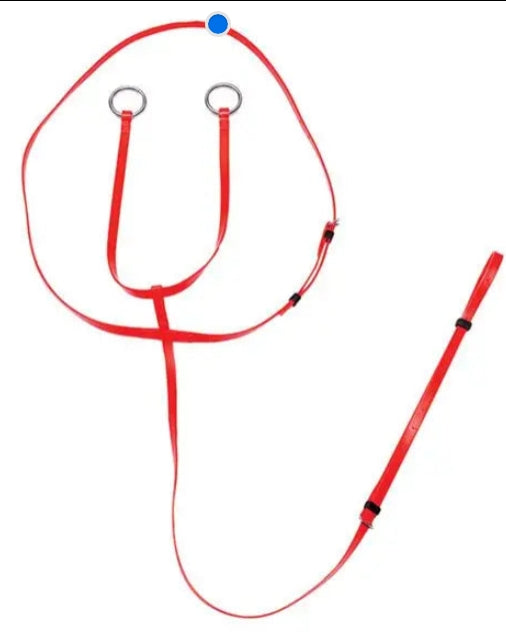 13mm Running Martingale (Zilco)