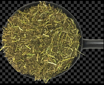 Alfalfa Oil Plus -  زيت البرسيم بلس