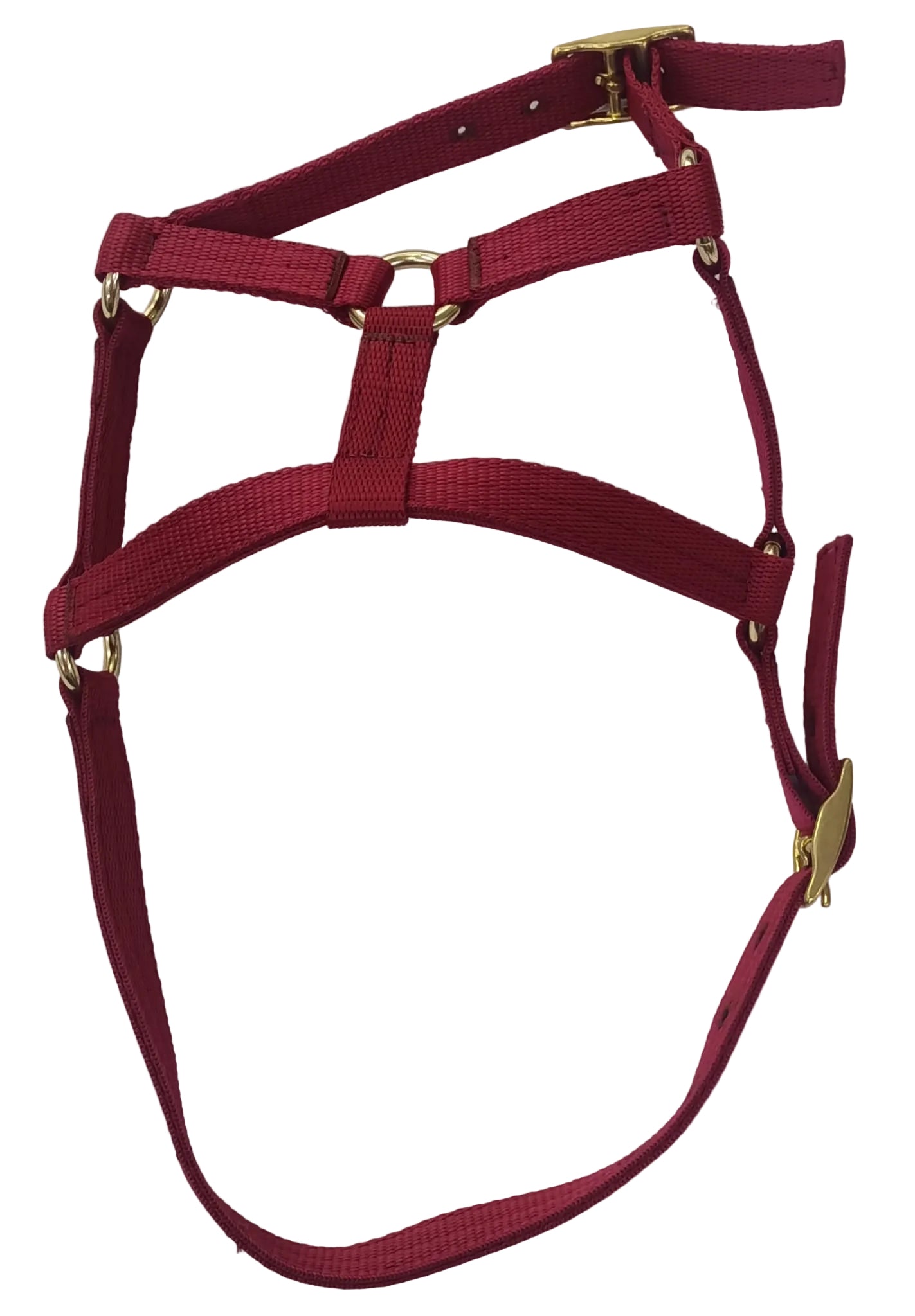 Foal Halter (R/M)