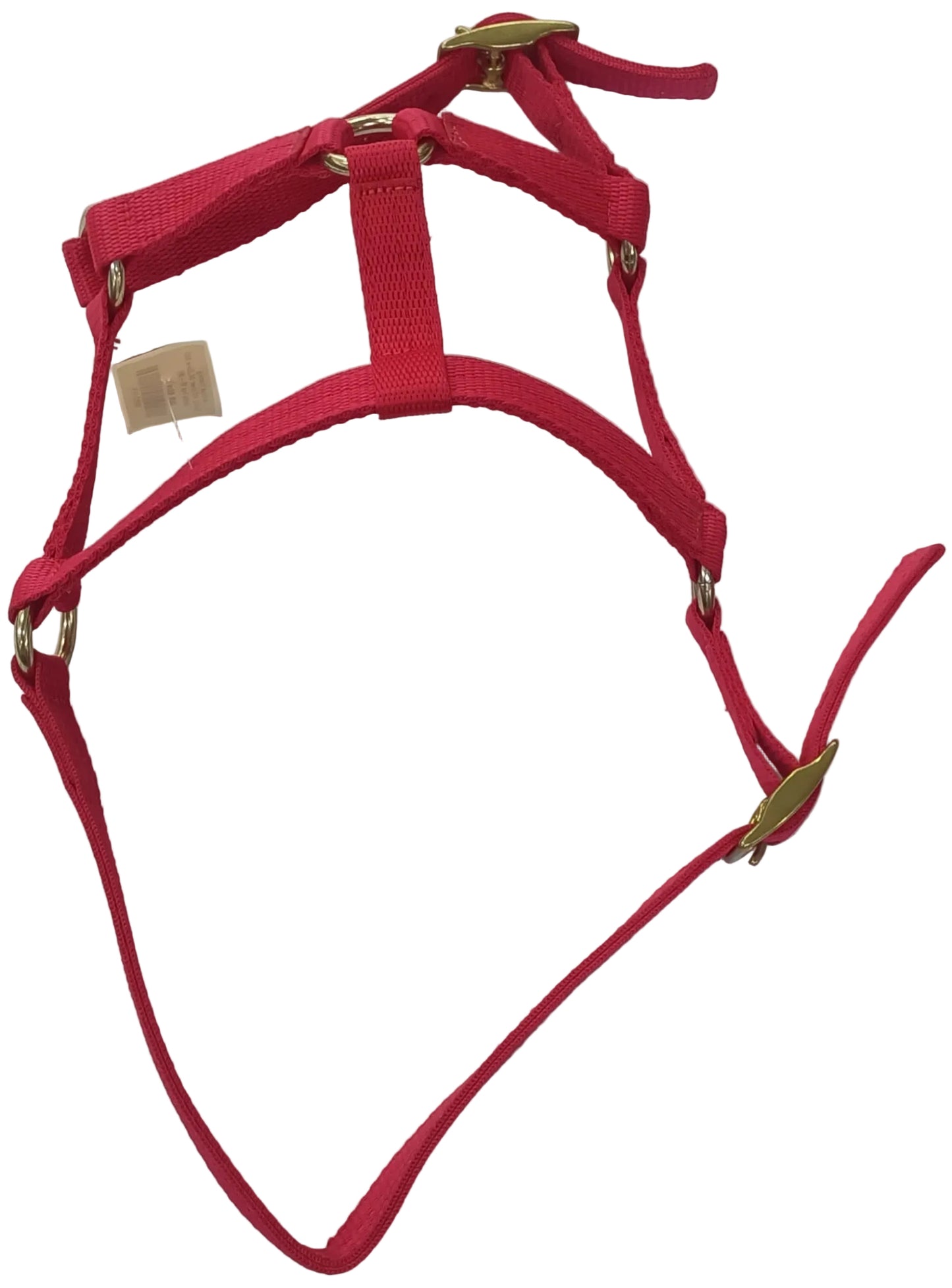 Foal Halter (R/M)